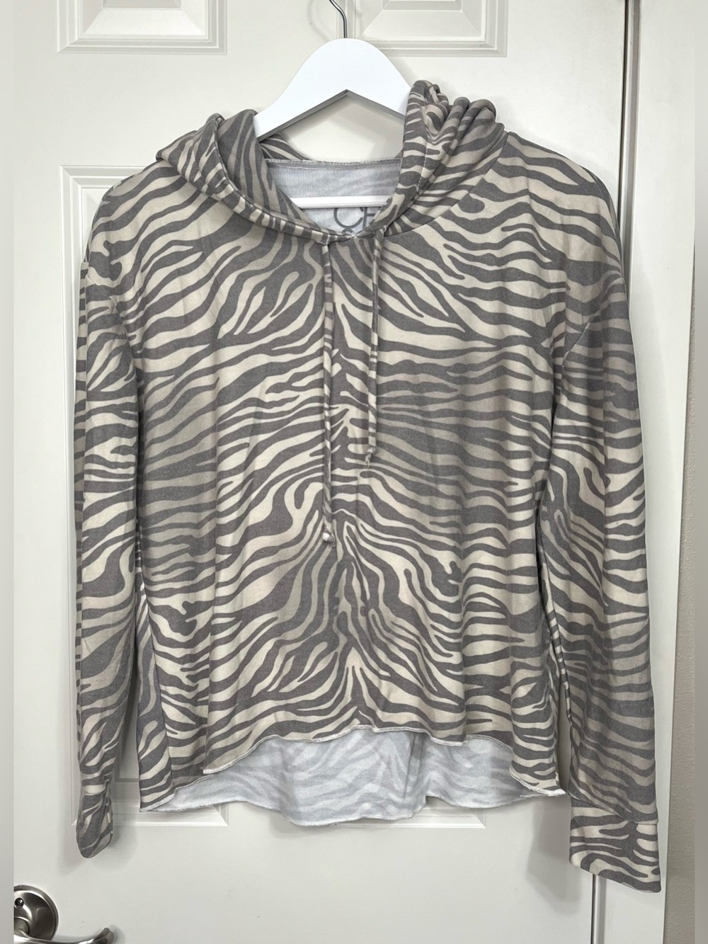 Chaser Zebra Hoodie (M) and Pants (L) Set